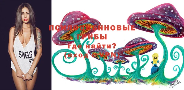 гашишное масло Богородицк