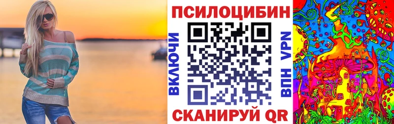 Купить закладки  Углегорск  Галлюциногенные грибы Cubensis 